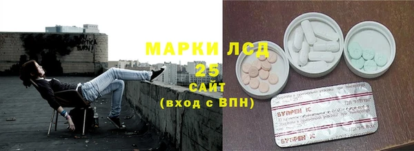 сатива Верея