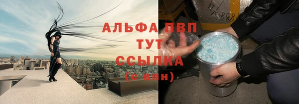 сатива Верея