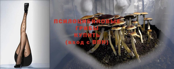 сатива Верея