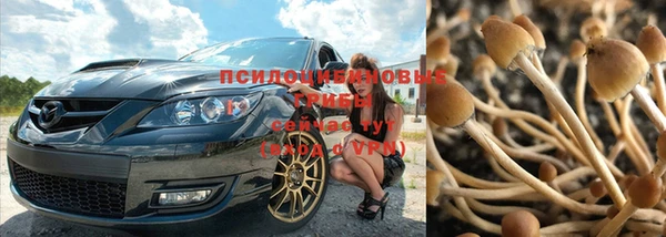 MDMA Premium VHQ Волоколамск