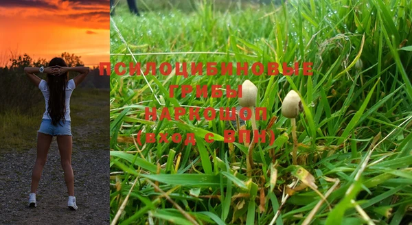 PSILOCYBIN Володарск