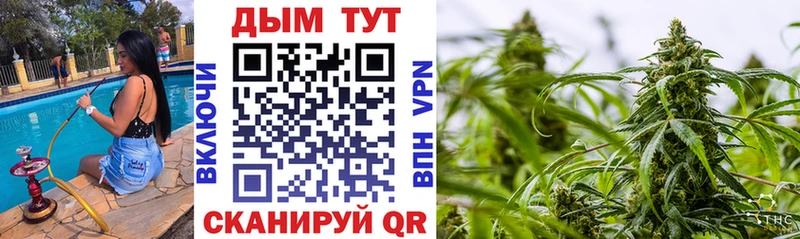 Бошки Шишки индика  где продают   Щучье 